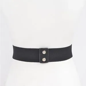Plus Size Hematite Rhinestone Corset Waist Statement Belt Plus Size Sparkling Rhinestone Belt main image 4
